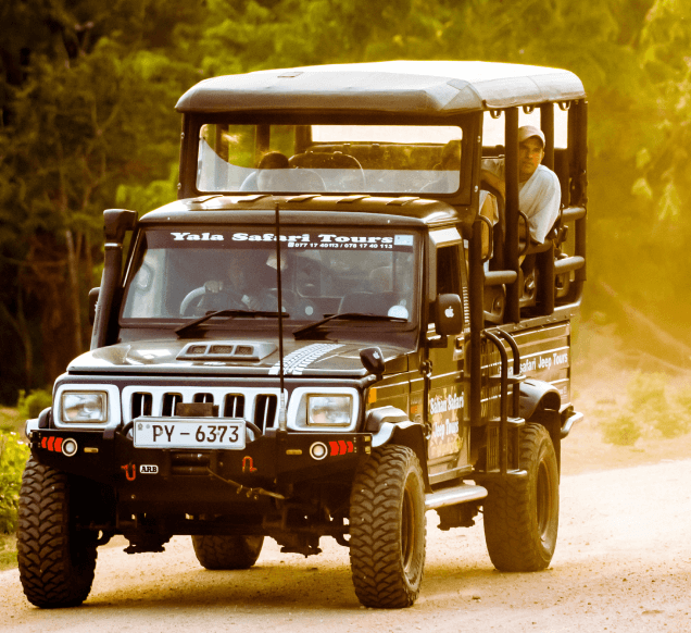 Mahindra Bolero Safari Jeep Yala Sri Lanka
